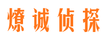 尼勒克侦探公司